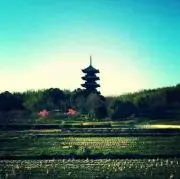 ひろたん