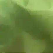 どあの画像