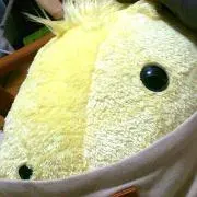 かおるの画像