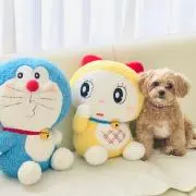 sunnの画像