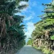 かえの画像