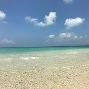 yusakenの画像