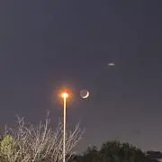 はっちー