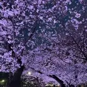 なぐ