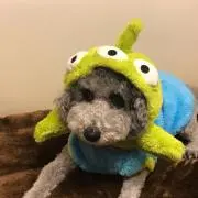 ゆなママ