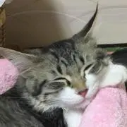 プロフ必読。の画像