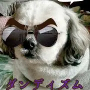 せばふく