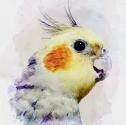 和音