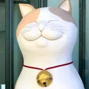 A Nの画像