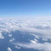 Yの画像