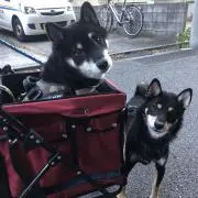 宇宙