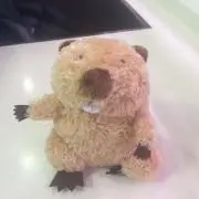 びーばーの画像