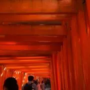 Donaの画像
