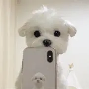 ♡