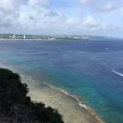P.Iの画像
