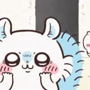 こはちゃんの画像