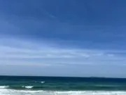 ミーの画像