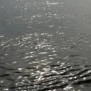 Blueの画像
