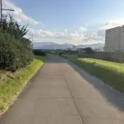 たまご