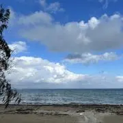 hamacoh123の画像