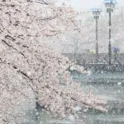 yuki☆の画像