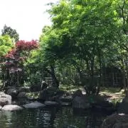 なつき