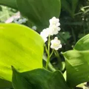 その