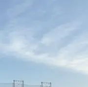 Collonの画像