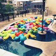 じゃがの画像