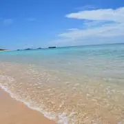 mai29の画像