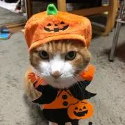 Kinako