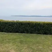 ゆーじ