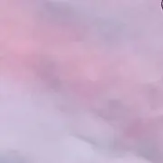 いみゅーずの画像