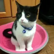 真昼の画像