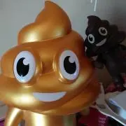 ポンポンの画像