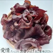 兵庫県のきくらげ屋☆つちやま農園☆の画像