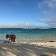 sssの画像