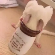 あい