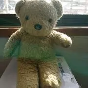 くまきちの画像