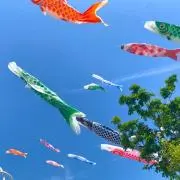 ニコ