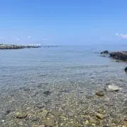 プロフ必読♡の画像