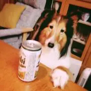 ポム