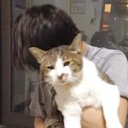 いなたろう