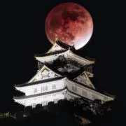 satosatoの画像
