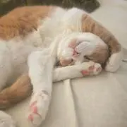 maru-mama★の画像