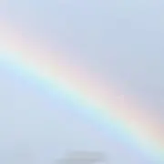 ぽんの画像