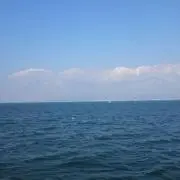 砂糖無糖