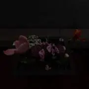 mei.