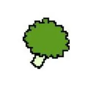 ブロッコリーの画像