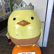 ひよこの画像